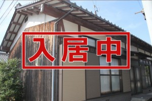 入居中