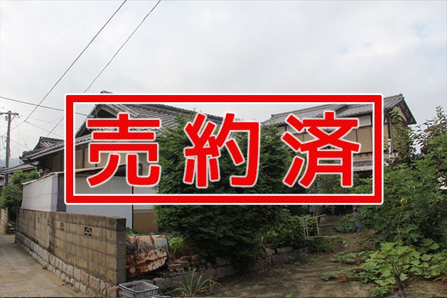 売約済
