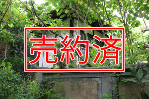 No.31契約済